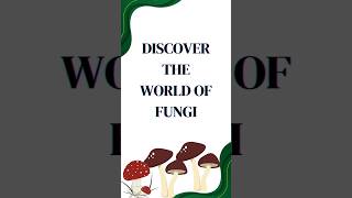 DISCOVER THE WORLD OF FUNGI [upl. by Erida623]