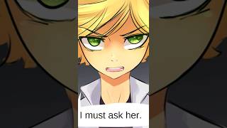 Adriens Big Question miraculous miraculousladybug comic [upl. by Gildus]