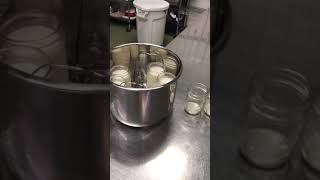 Bulgarian Yogurt using an Instant Pot [upl. by Winton]