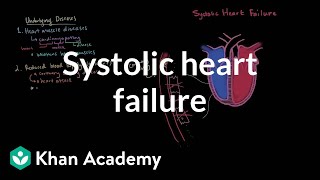 Systolic heart failure pathophysiology  Circulatory System and Disease  NCLEXRN  Khan Academy [upl. by Illyes]