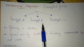 SALMONELLA TYPHI AND PARATYPHI  STRUCTURE SYMPTOMS TREATMENT LIFE CYCLE  BY PHANINDRA GUPTHA [upl. by Ellinehc426]