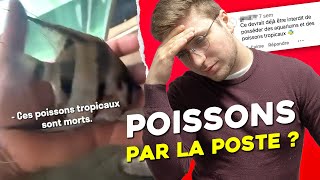 Il reçoit des poissons MORTS par la poste MALTRAITANCE animale [upl. by Annaej949]