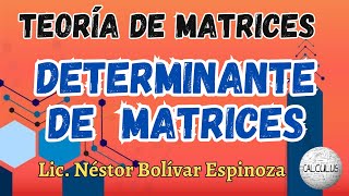 DETERMINANTE DE UNA MATRIZ [upl. by Ball]