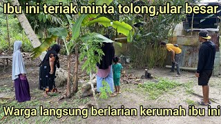 IBU INI MINTA TOLONG ADA ULAR BESAR MASUK DI BELAKANG RUMAH NYA WARGA LANGSUNG BERLARIAN [upl. by Mitzie]