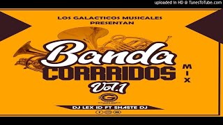 Banda Corridos Mix By Shaste Dj Ft Dj Lex ID  Galaxy Music Records [upl. by Orabelle]