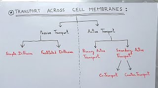 Transport across the Cell Membrane  Plasma Membrane  Active and Passive Transport [upl. by Anahsit]