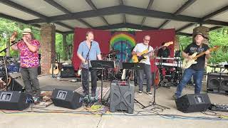 Strawberry Alarm Clock  Incense and Peppermints  Neighborhood Picnic Band 2019 [upl. by Adela]