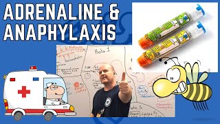 Why Adrenaline is Vital for Anaphylaxis Understanding Adrenergic Receptors [upl. by Airotahs]