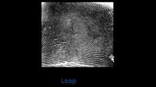 Fingerprint Types [upl. by Mireille]