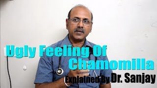 Ugly feeling of Chamomilla Explained Dr Sanjay HINDI [upl. by Brill]