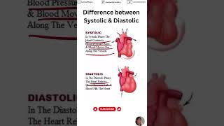 Systolic vs Diastolic Blood Pressure 101 [upl. by Kendrah]