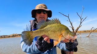 Lure fishing for yellowbelly at Cairn Curran [upl. by Howund]