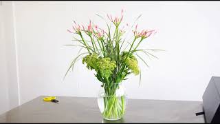 Jane Packer Vase Arrangement Nerines amp Sedum [upl. by Kirstyn]