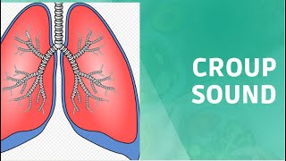 Croup sound Croup cough Sound Barking cough sound [upl. by Alysoun799]