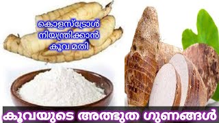 കൂവയുടെ ആരോഗ്യ ഗുണങ്ങൾ Top 5 Health Benefits of Arrowroot Powder  Arrowroot to Control Cholesterol [upl. by Aivatal]