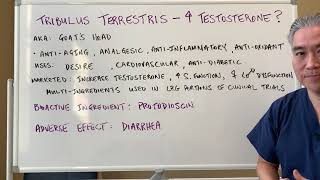 Tribulus Terrestris🐐🐐Increase Testosterone [upl. by Aihselef]