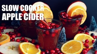 Slow Cooker Cranberry Apple Cider [upl. by Kiersten]