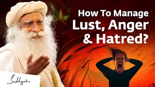 How To Manage Lust Anger amp Hatred  Sadhguru [upl. by Allebasi569]