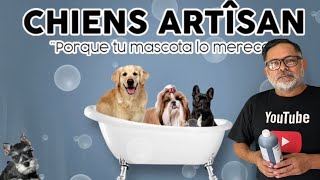 SHAMPOO para DESMANCHAR los LAGRIMALES de tu PERRO [upl. by Eitsirhc]