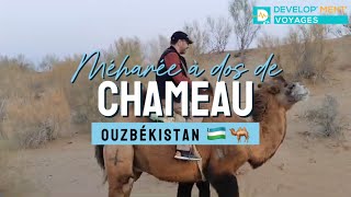 🇺🇿Promenade à dos de chameau dans les steppes d’Ouzbékistan [upl. by Kamp]