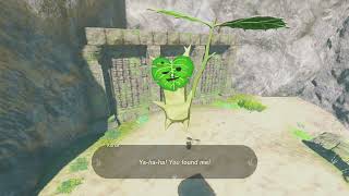 Korok Seed 647 Palmorae Ruins  The Legend of Zelda Tears of the Kingdom [upl. by Yentyrb]