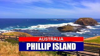 PHILLIP ISLAND  VIC  AUSTRALIA  Best Things to do [upl. by Okire4]