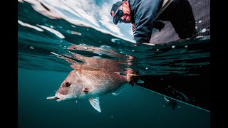 Fishing Nambucca Heads with Liam Williams in his AMM console [upl. by Godrich]