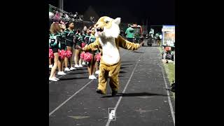 Figures  ARCHIE THE WILDCAT  Arundel High Schools TEAM MASCOT [upl. by Airemat]