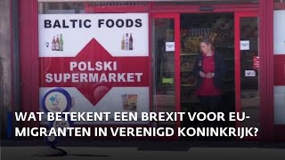 Wat betekent een brexit voor EUmigranten in Verenigd Koninkrijk [upl. by Llewsor]