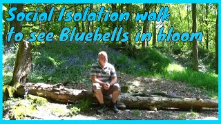 Circular walk in BEELEY WOODS OUGHTIBRIDGE  SOCIAL ISOLATION diary episode 11 [upl. by Behrens]