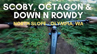 3 SICK Trails  Scoby Octagon amp Down n Rowdy  North Slope Trails in Olympia WA [upl. by Enilauqcaj]