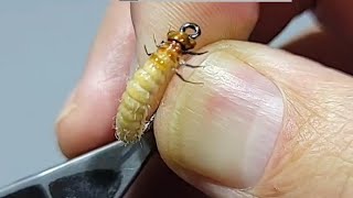 Tying the October Caddis Larva  A Step by Step Guide [upl. by Vikki]