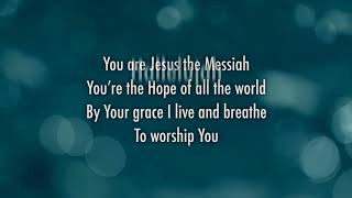 Darlene Zschech  Victors Crown Official Lyric Video [upl. by Davida]