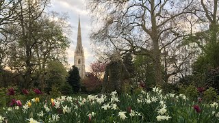 St Gabriels Pimlico Sung Sunday Mass Eighteenth Sunday in Ordinary Time 4th August 2024 [upl. by Niro819]