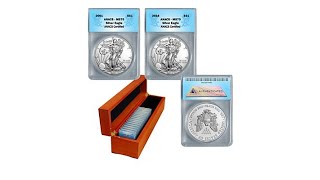 20012016 MS70 ANACS 16Coin Silver Eagle Dollar Set [upl. by Anavi301]