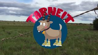 1 Minute Skatepark guide Tarneit Victoria [upl. by Brewer]