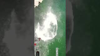 Ishowspeed cliff jump fail Australia 🤣 [upl. by Inihor]