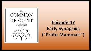 Episode 47  Early Synapsids quotProtoMammalsquot [upl. by Candie]