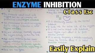 Enzyme Inhibition  Competitive And Non Competitive Inhibition  Class 11 Biology [upl. by Theta]