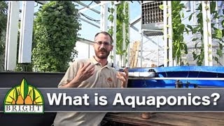 What is Aquaponics [upl. by Aneret]