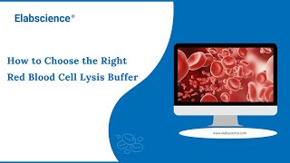 How to Choose the Right Red Blood Cell Lysis Buffer [upl. by Diet]