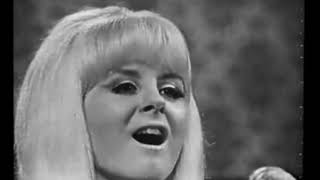 HQ  The New Christy Minstrels Live  Brian Henderson Bandstand 1966  The Concert [upl. by Stimson]