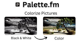 Instantly Add Color to Photos with Palettefms AI  Quick Demo [upl. by Iron892]