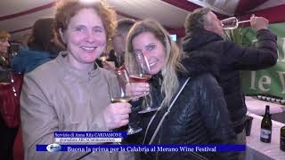 Buona la prima per la Calabria al Merano Wine Festival [upl. by Acirej796]