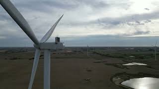 Shty Views and Curly Hair Ugly Wind Farm near Vermilion AB [upl. by Wilden301]