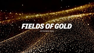 Mydn ft okafuwa  Fields Of Gold Extended Mix [upl. by Denney951]