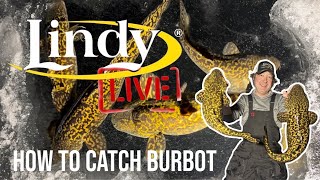 LINDY LIVE 🔴 Ice fishing BURBOT LIVE with Nate Altendorf [upl. by Kleinstein421]