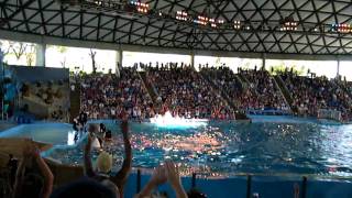 HD Complete Shamu Show Believe  Part 3 of 4  Sea World San Antonio TX [upl. by Orlina]