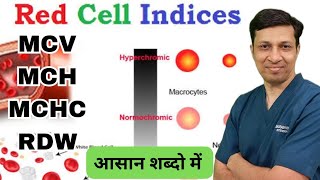 Red cell indices made easy in hindi  MCVMCHMCHCRDW [upl. by Mishaan86]