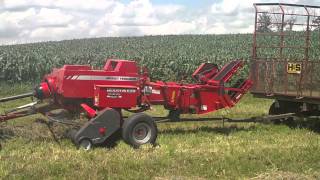 Massey Ferguson 1837 Square Baler Java Farm Supply [upl. by Adnohsak]